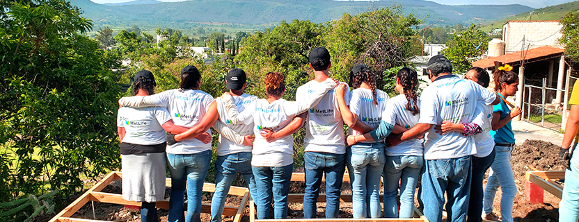 Voluntariado