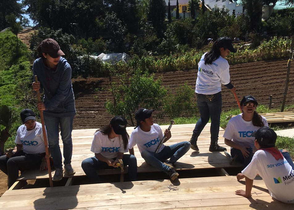 Voluntario coorporativo
